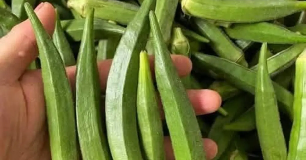 Doctors reveal that eating okra causes..See more