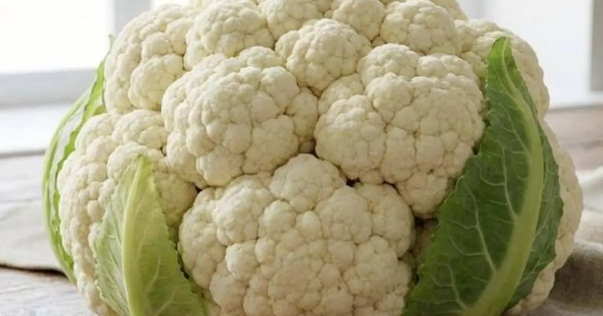 What Does Broccoli Really Do to Your Body? Regular Consumption May Have Some Interesting Effects