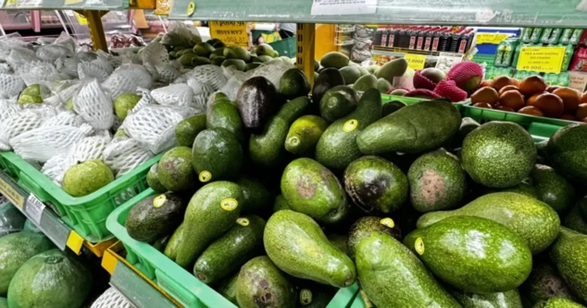 Too Much Avocado Isn’t Always Better—Here’s What It Could Mean for Your Health