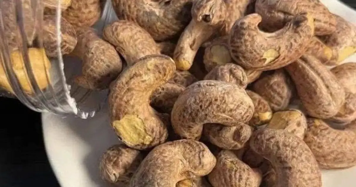 Doctors reveal that eating cashew nuts causes... See more 👇