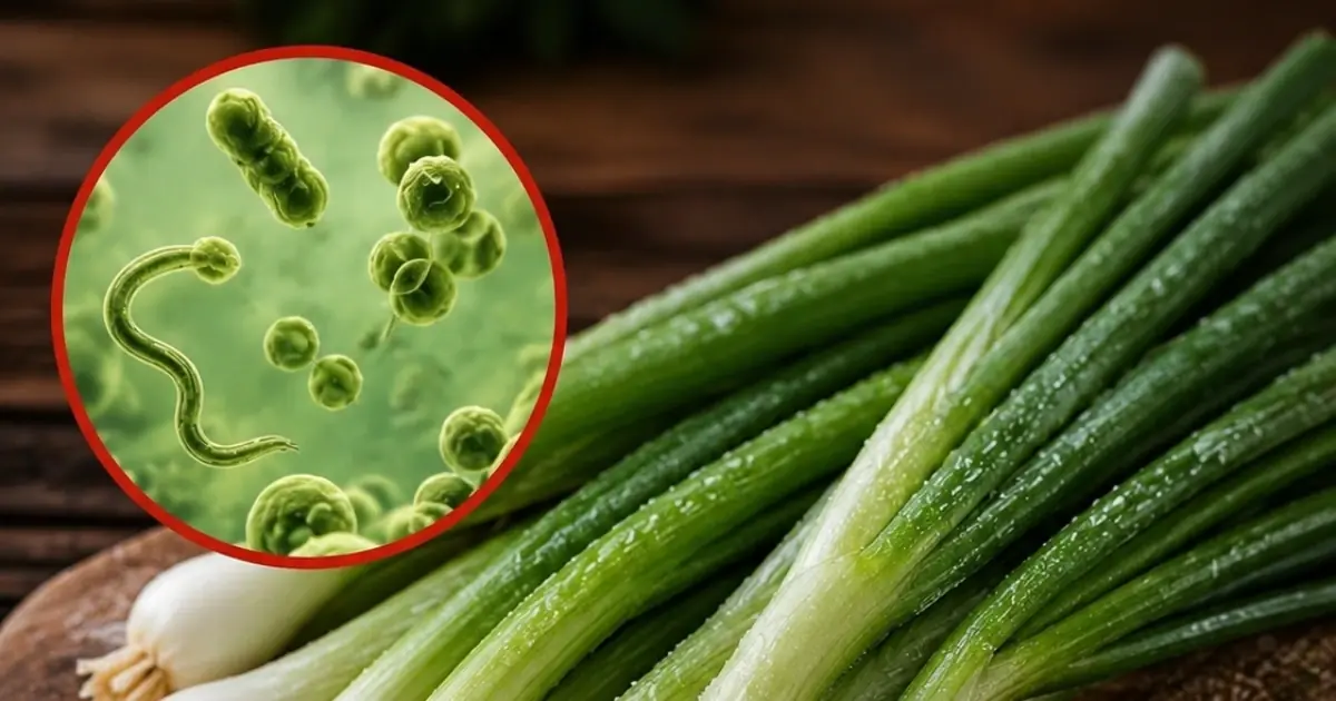 Raw green onions can contain harmful germs when they aren’t properly washed, stored, or handled.
