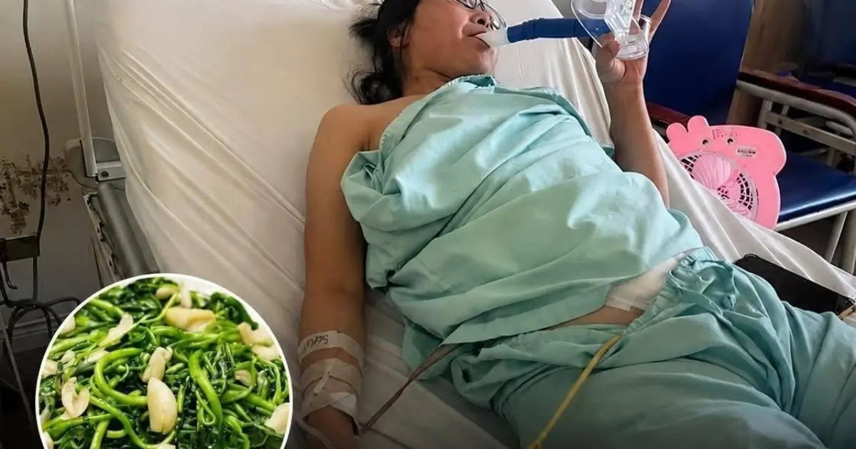 Doctors Warn: Acute Kidney Failure Linked to Improper Vegetable Consumption