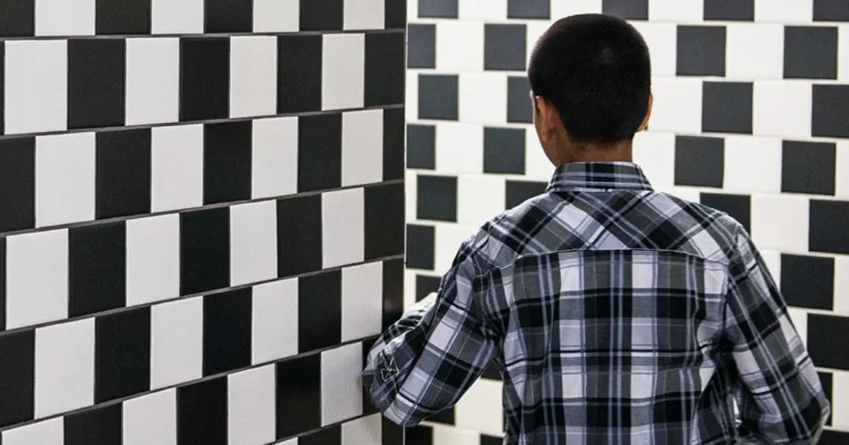 What You See in This Optical Illusion Reveals More About Your Perception Than Your Gender