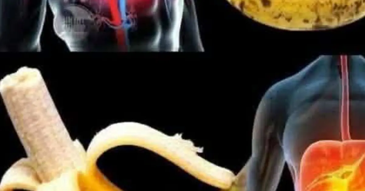 The Benefits of Eating Bananas and the Myths You Should Stop Believing
