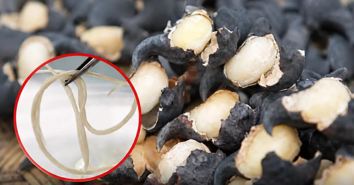 Raw Vegetables Can Be Healthy — But These 5 Types Require Extra Care Before Eating