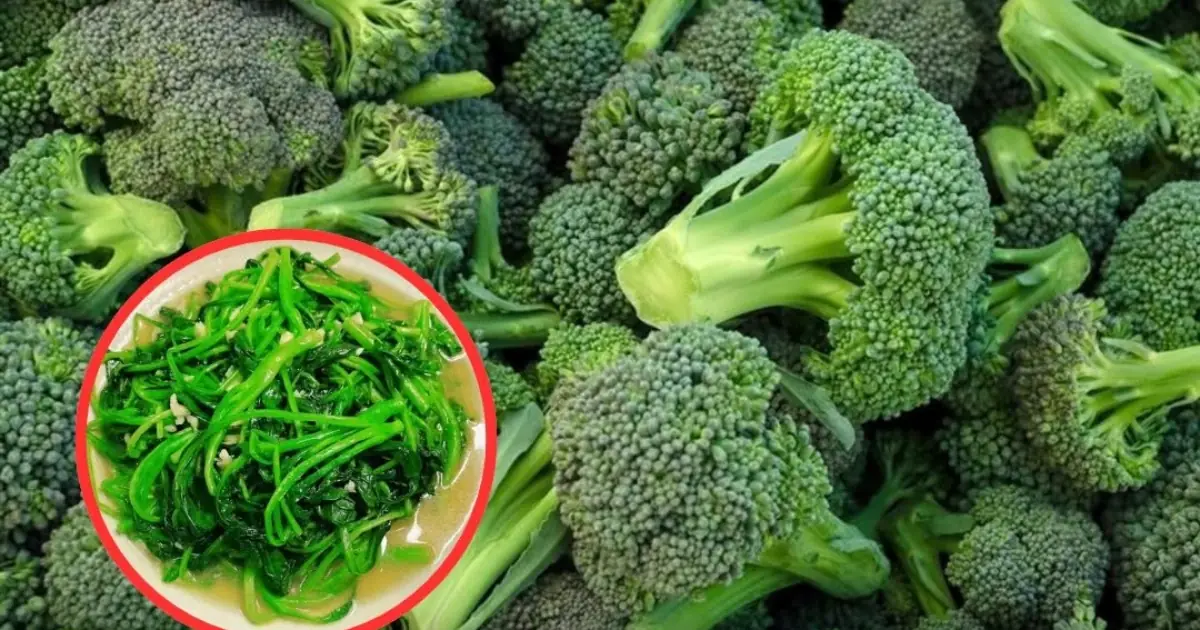 If you see this vegetable at the market, don't forget to buy it immediately! It's considered the best in the world and is excellent at fig.ht.i.ng ca.nc.e.r
