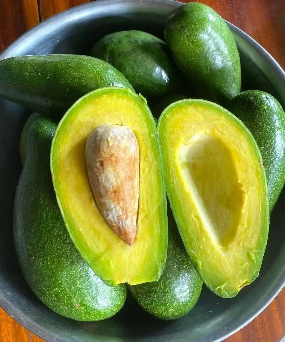 Doctors Reveal What Happens When You Eat Avocados Regularly