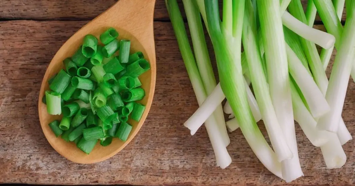 Difference Between Green Onions, Scallions, Spring Onions and Chives