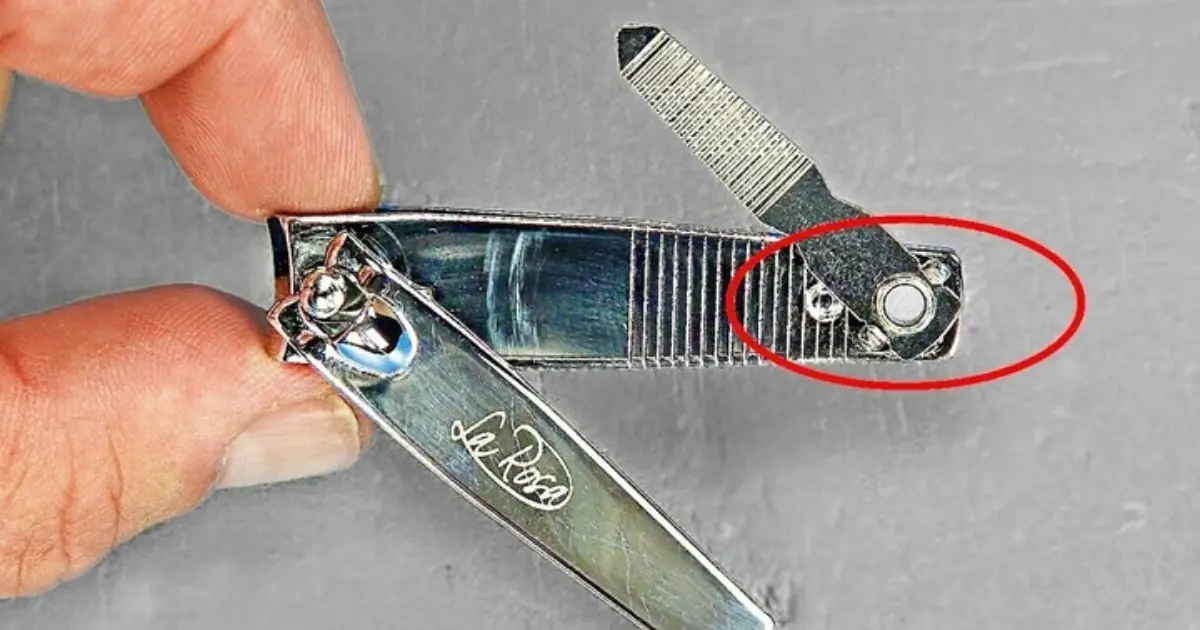 Why Does Your Nail Clipper Have a Tiny Hole? The Surprising Reason Behind It