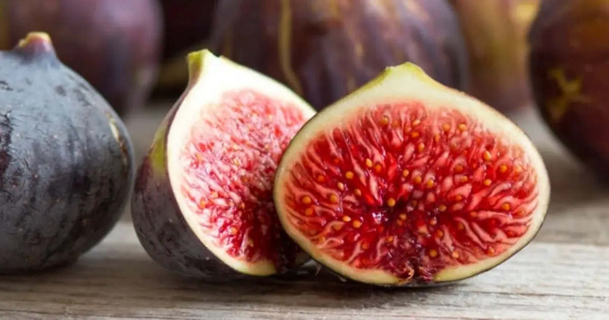 Figs Have Surprising Health Benefits - Here’s What Science Says