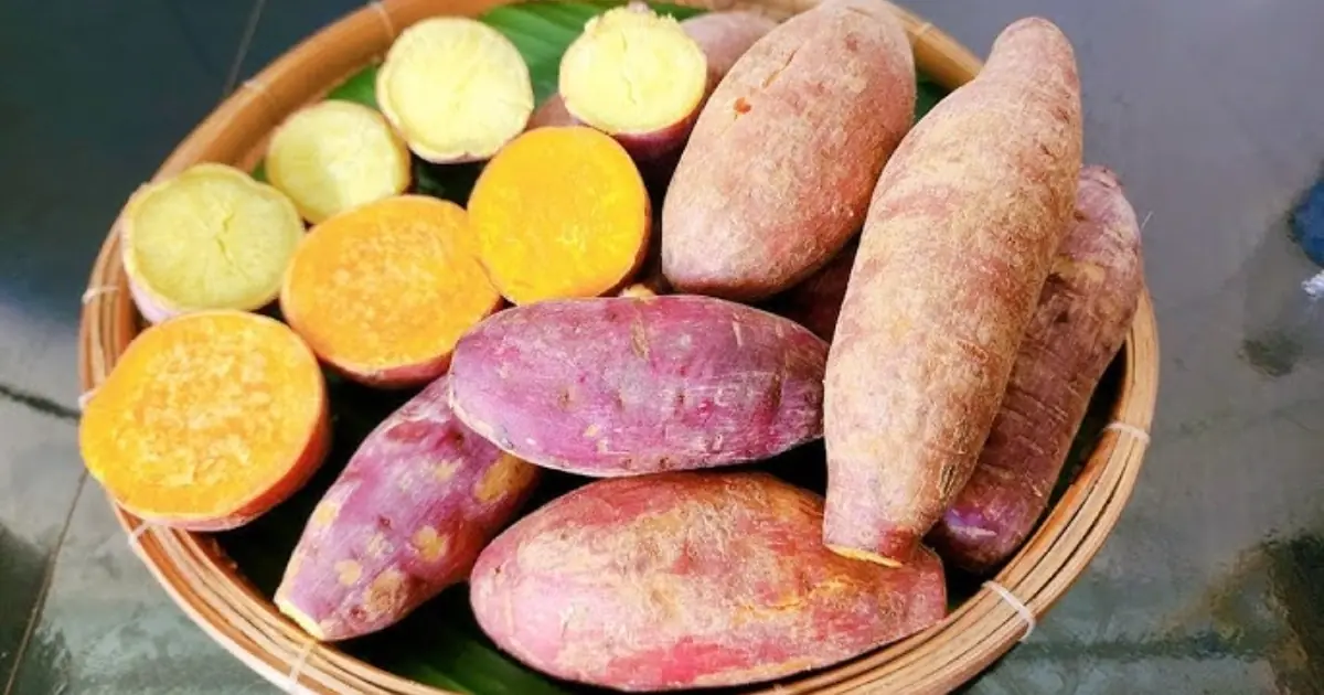Sweet Potatoes Are More Nutritious Than You Think - 9 Benefits to Know