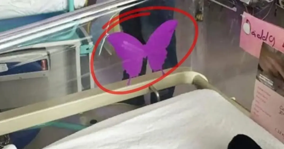 If You See A Purple Butterfly Sticker Near A Newborn, Here’s What It Means