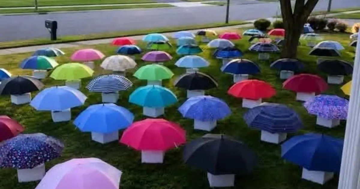 My Son Handed His Umbrella to a Pregnant Woman During a Storm — The Next Morning, 47 Umbrellas Covered Our Yard
