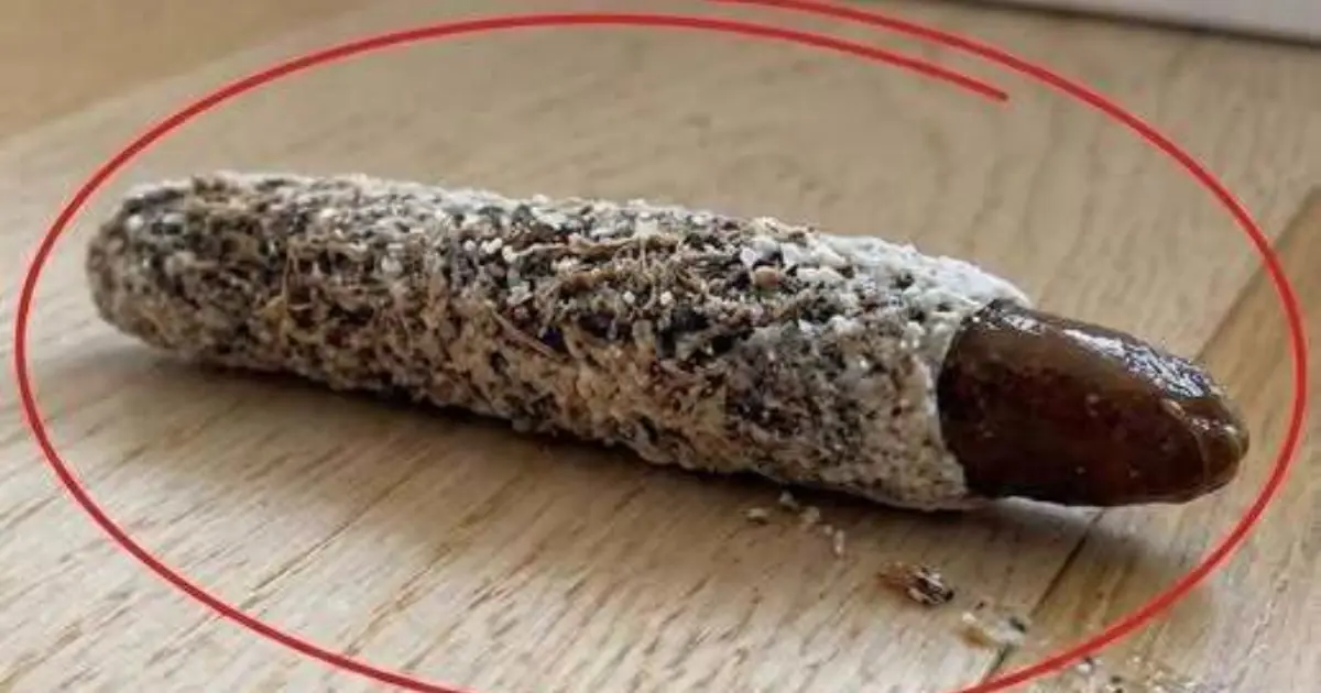 It Looked Like a Piece of Dust But This Tiny Discovery Had a Surprising Story Behind It
