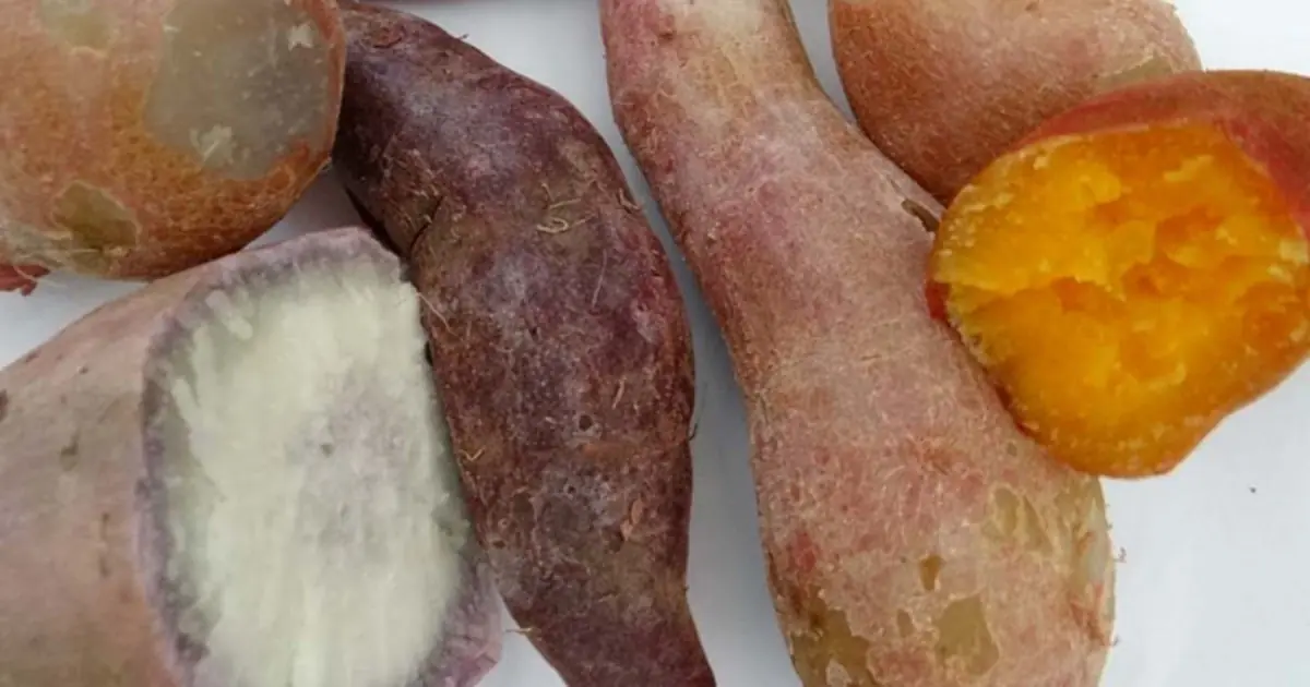 Why Sweet Potatoes May Be Better for You Than You Think?