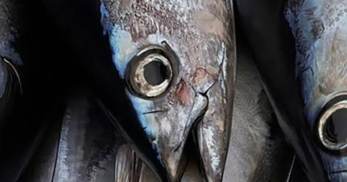 3 Fish Parts You May Want to Avoid — One Could Put Your Kidneys at Risk