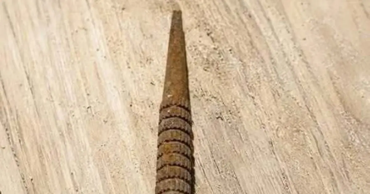 The Centuries-Old Tool That Woodworkers Still Use Today