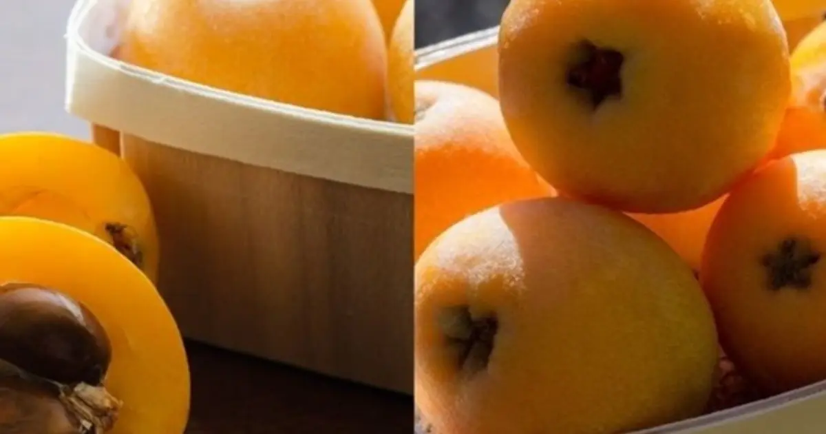 “Does Anyone Know the Name of This Mysterious Fruit?”  I’ve Been Wondering My Whole Life… Check the First Comment