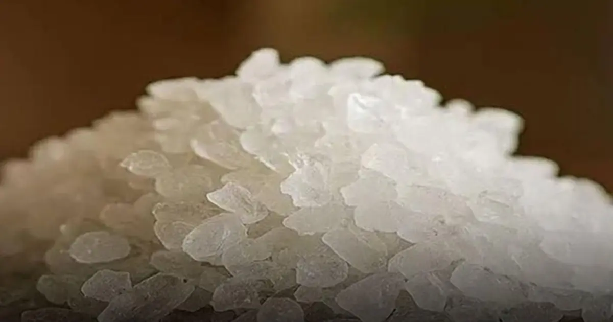 The Power of Nutrition: How One Exceptional Superfood Can Support Major Health Goals