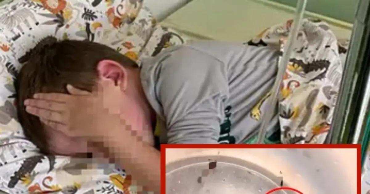 8-Year-Old Boy Kept Vomiting Worm-Like Creatures Every Few Days—Doctors Say The Cause Was Something Unexpected In His Home