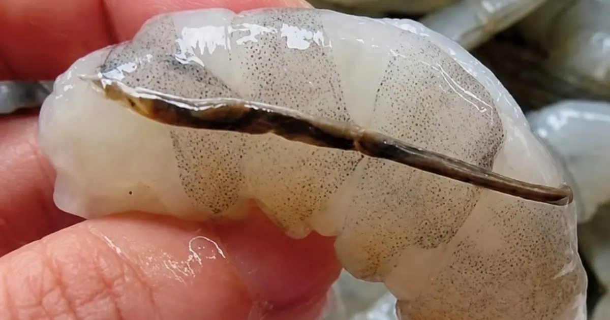 Should You Remove the Black Line in Shrimp Before Cooking?