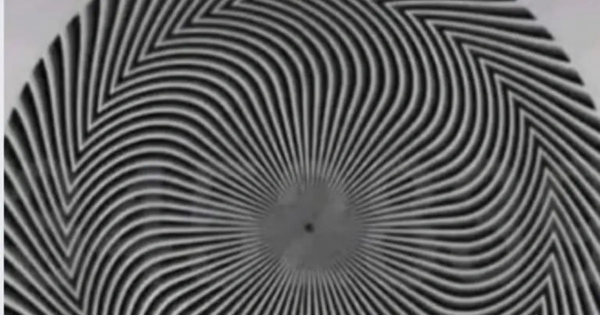 Can You See the Hidden Number? The Optical Illusion That Has the Internet Arguing