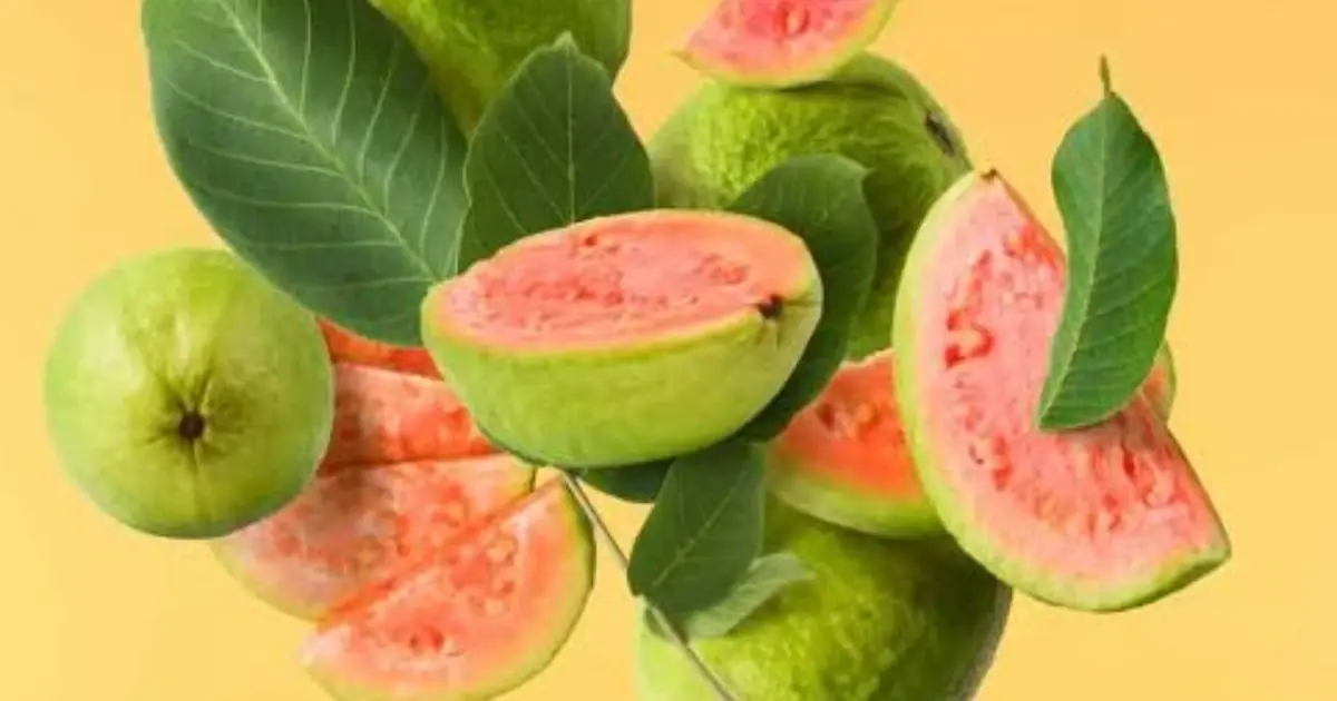 Doctors Reveal the Surprising Effects of Eating Guava