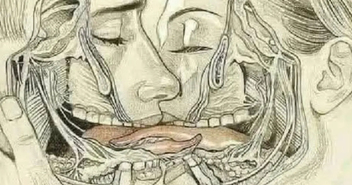 WHAT HAPPENS WHEN WE TONGUE KISS…See more