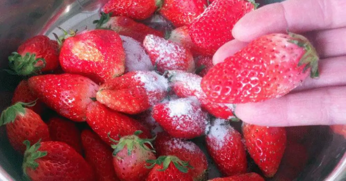 Tiny White Things Came Out of My Berries After a Salt-Water Soak - Should I Be Worried?