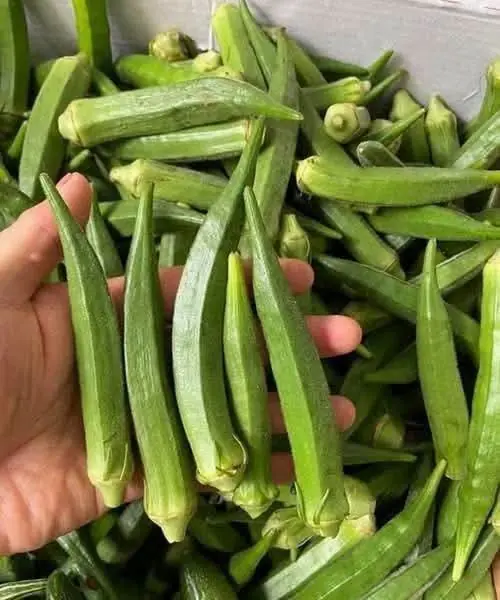 Doctors reveal that eating okra causes... See more