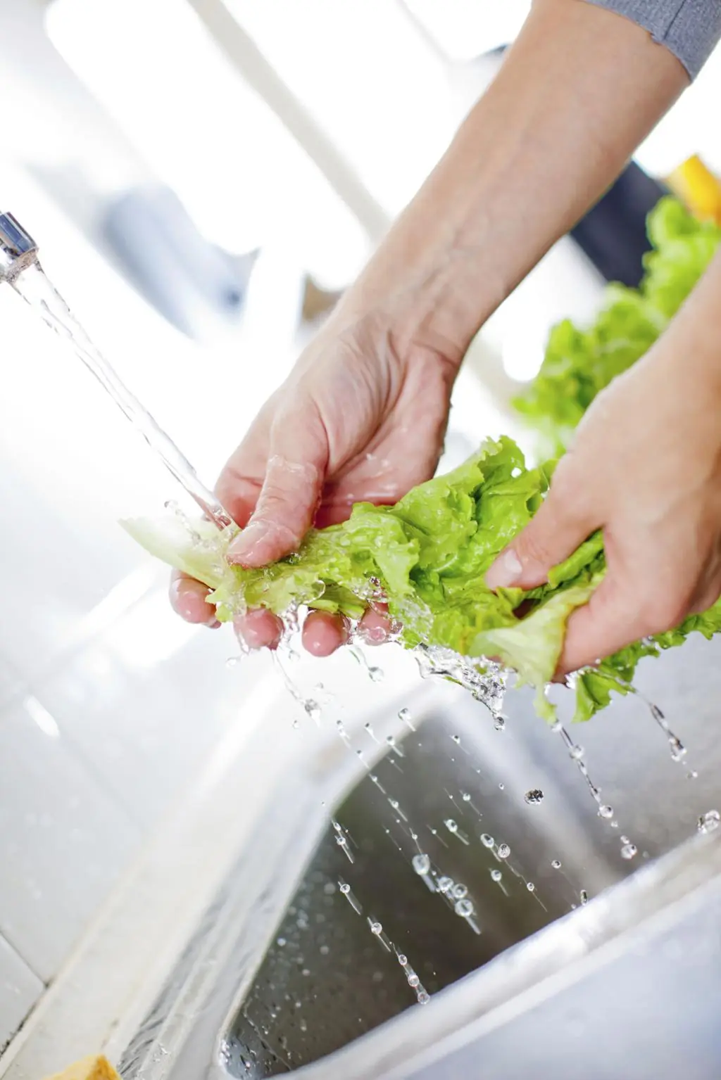 The Hidden Risk in Raw Leafy Greens: Why Proper Washing Matters More Than Ever