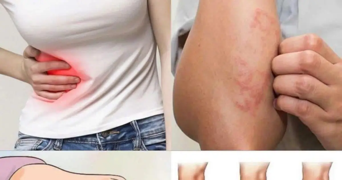 🩺 If Your Kidneys Are in Danger, Your Body Will Warn You With These 8 Signs