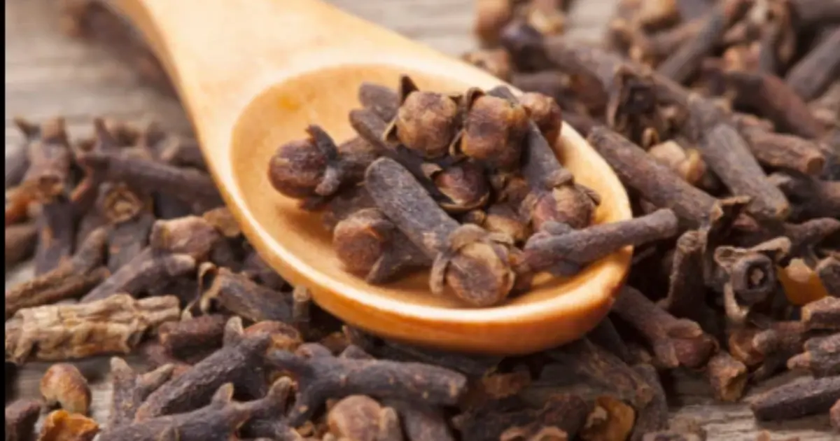 The Healing Benefits of Cloves: Natural Remedies for Improved Wellness
