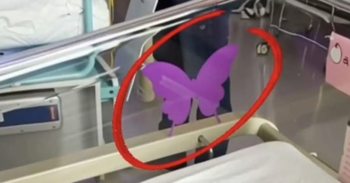 If You See A Purple Butterfly Sticker Near A Newborn, Here’s What It Means
