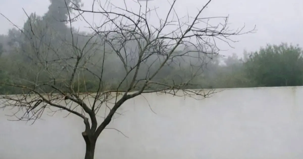 The “Lake” That Wasn’t a Lake: Why This Viral Optical Illusion Fooled So Many People
