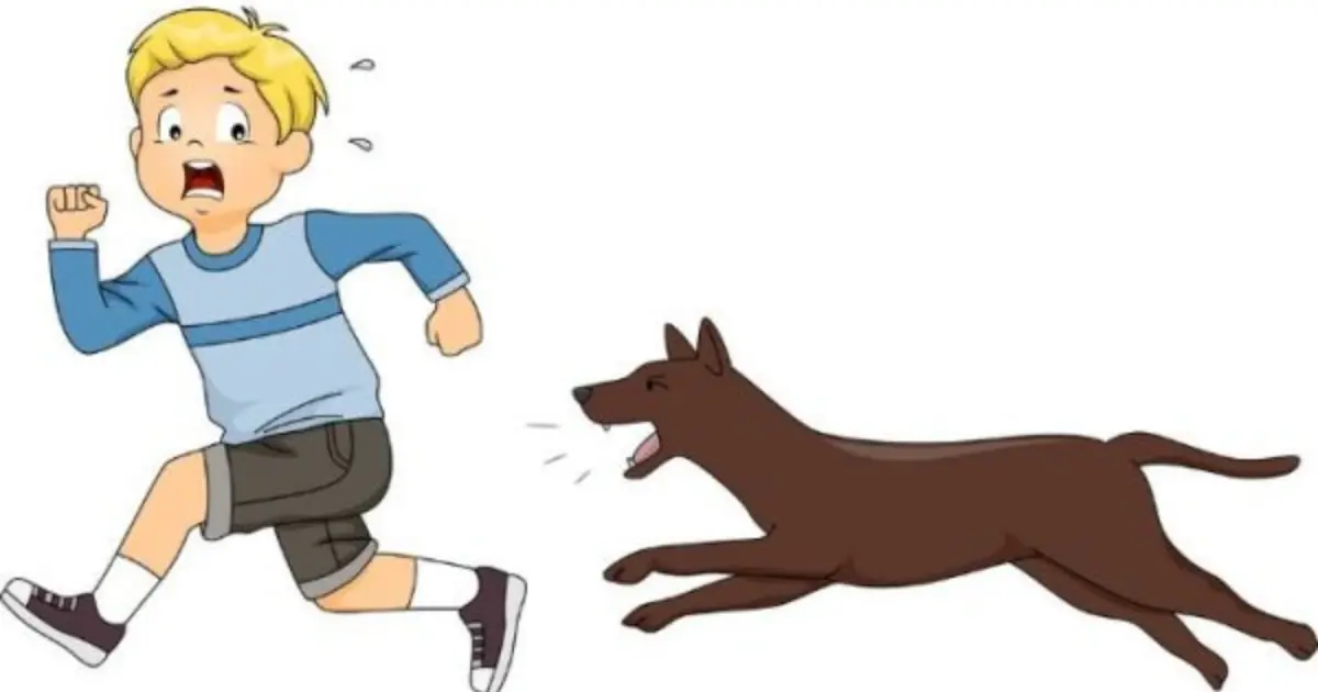 Ever Wonder Why Some Dogs Suddenly Chase Strangers? Experts Explain