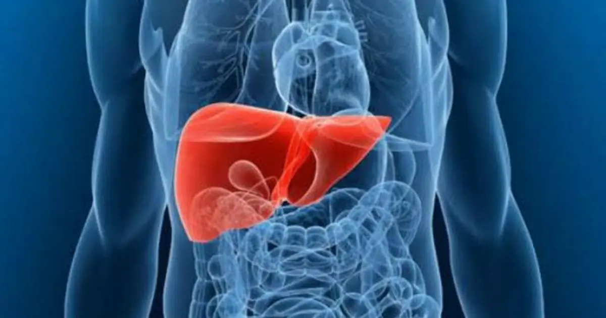 Fatty Liver Symptoms: 10 Early Signs You Need to Know