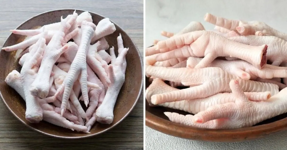Amazing Health Benefits of Chicken Feet You Should Know: More Than Just a Culinary Delicacy