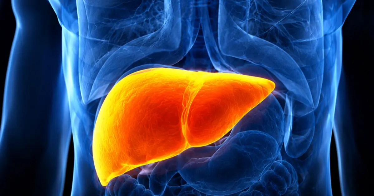 Science Backs It Up: 3 Fruits That Fight Li.ver Fat, Help Regulate Blo.od Sugar, and Support Healthy Cholesterol Levels