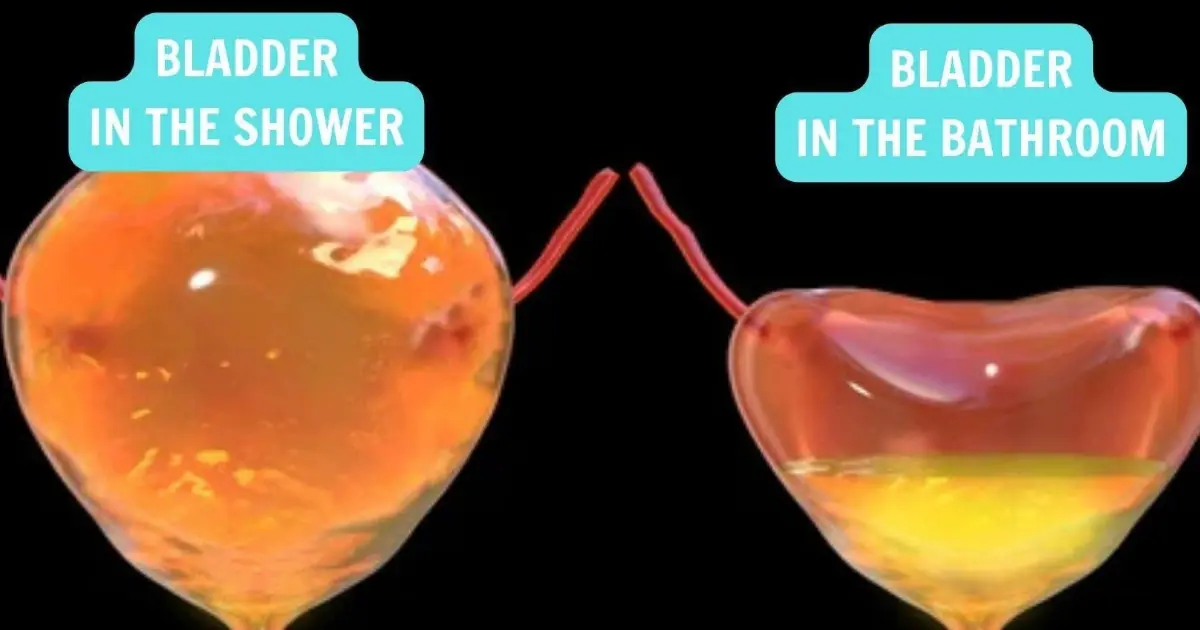 A Doctor Explains Why Women Should Avoid Urinating in the Shower