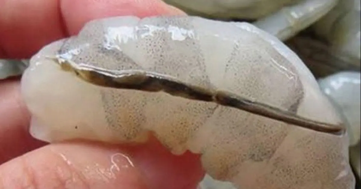How to Prepare Shrimp and Why You Shouldn't Eat That "Black Vein"