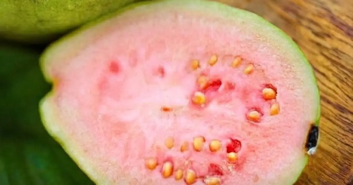 Guava Is Packed With Nutrients — But Here’s What You Should Know Before Eating More