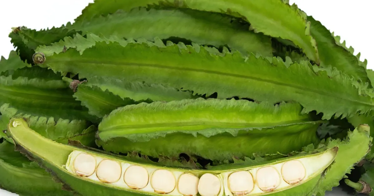 If You Eat Winged Beans, Here’s What They May Be Doing Inside Your Body