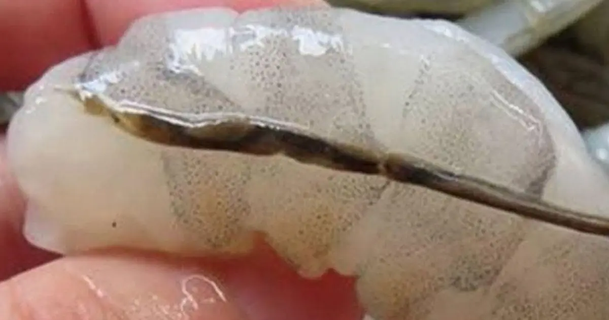 How To Prepare Shrimp and Why You Shouldn’t Eat That ‘Black Vein’