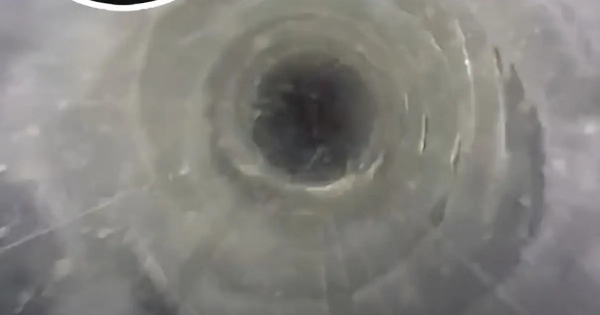 Camera Dropped 93 Meters Beneath Antarctica Reveals a Hidden World Below the Ice