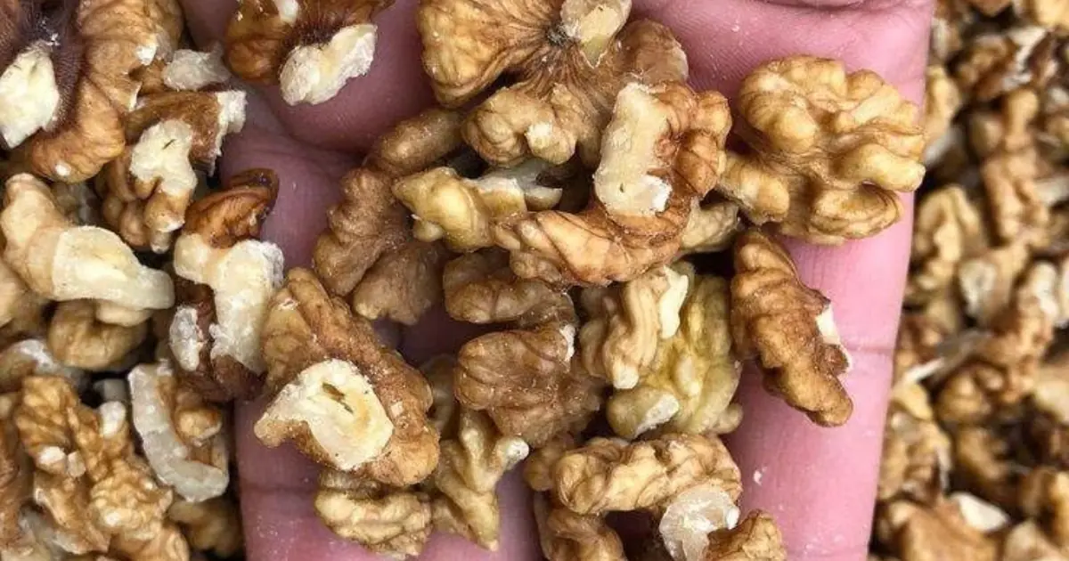 Doctors reveal that eating walnuts causes…See more