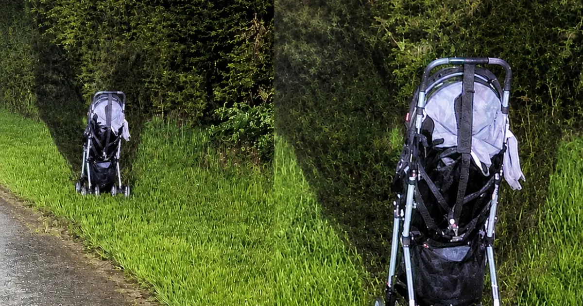 If You Find an Abandoned Stroller at the Roadside...