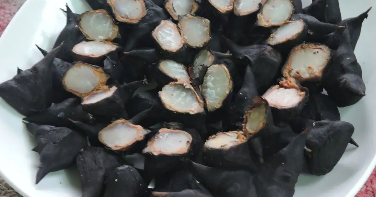 Does anyone know what they are — and how you’re supposed to eat them?