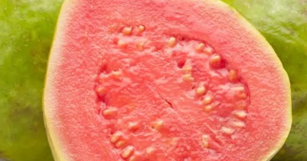 Before You Eat Guava Every Day, Here’s What Doctors Want You to Know…
