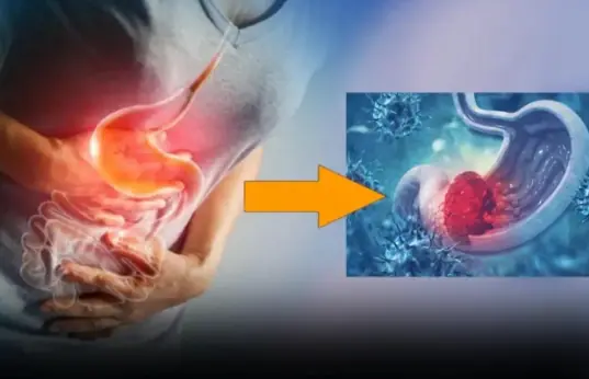 Doctors Warn: Bitter Vegetables May Contain Natural Toxins—Know What to Look For